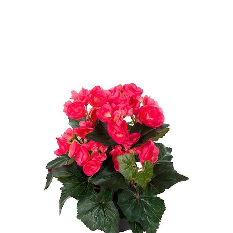 Umělá květina Begonie 28cm