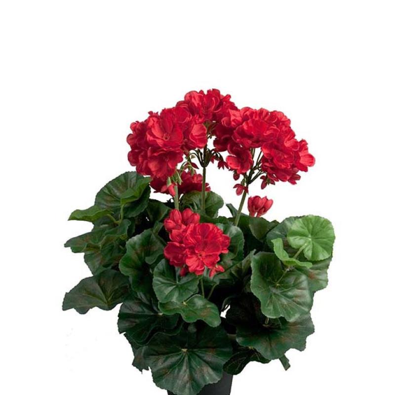 Umělá květina Muškát červený 35cm