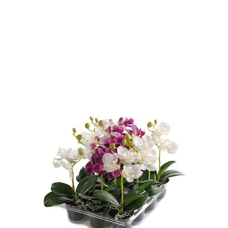 Umělá květina Orchidej mini bílá 23cm