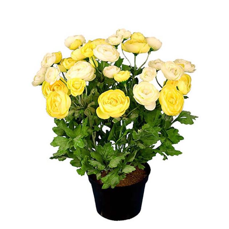 Umělá květina Pryskyřník žlutý 30cm