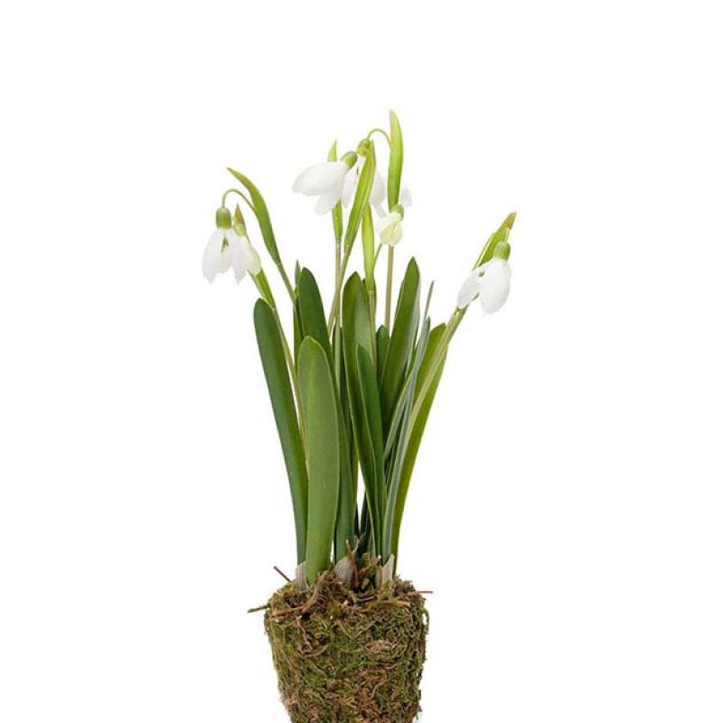 Umělá květina Sněženky 28cm