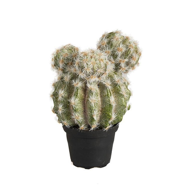 Umělý Kaktus 20cm