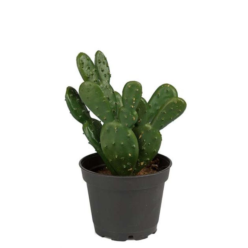 Umělý Kaktus mini 12cm
