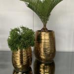 Zlatý obal na květináč 22cm